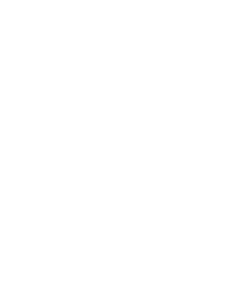 vp_vision-logo-simple-white-01_lo
